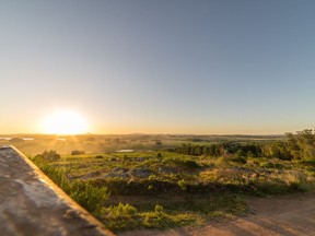 The sun sets over a vineyard in Uruguay.