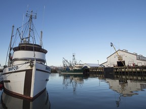 A new report details the frantic, fruitless attempt to rescue a deckhand pulled overboard just hours into the lobster season -- one of a series of deaths on both coasts that demonstrate the remarkable danger of commercial fishing.  Fishing vessels are docked in Steveston, B.C. Wednesday, Dec. 14, 2016.