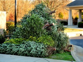 If you're ready to dump that not-so-evergreen Christmas tree, check our guide on where to drop off your tree for chipping or recycling in Metro Vancouver.