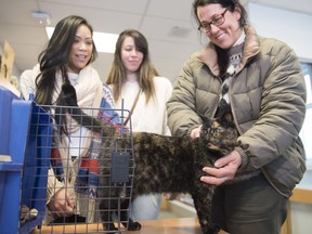 Pascale Markortoff (right) pets her cat Pharfalla while Gerna (left) and Jessica Sotana look on in Surrey, BC, December, 23, 2016. Gera and Jessica found Pharfalla after disappearing from McLeese Lake over two and half years ago.