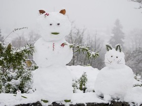 A couple of snow cats sit on a wall at Queen Elizabeth Park in Vancouver, BC, December, 5, 2016.