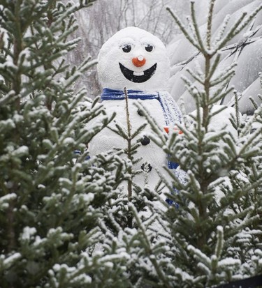 A snowman smiles after seeing the snowfall all around at Queen Elizabeth Park in Vancouver, BC, December, 5, 2016.