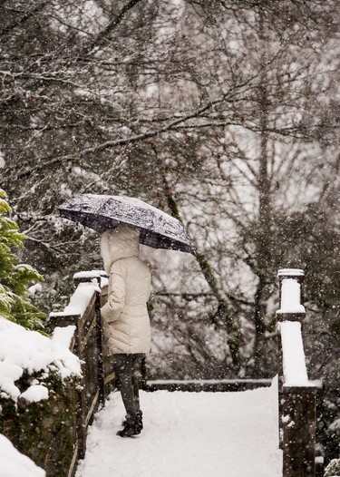 A woman walks around in the falling snow at Queen Elizabeth Park in Vancouver, BC, December, 5, 2016.