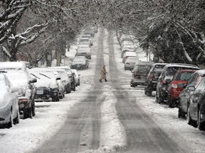 Vancouverites made their way around the city as best they could during the recent snowfall.