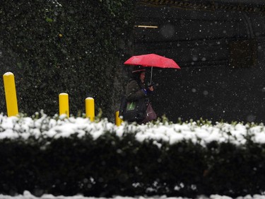 Vancouverites made their way around the city as best they could while snow continued to fall all across the Lower Mainland Monday afternoon.