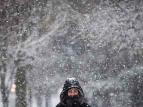 A bundled up woman walks as snow falls in Vancouver on Friday December 9, 2016.