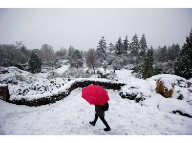 A woman carries an umbrella while walking through Queen Elizabeth Park as snow falls in Vancouver, B.C., on Monday December 5, 2016. Environment Canada has issued a snowfall warning for Metro Vancouver.