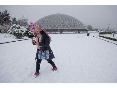 A woman walks on freshly fallen snow at Queen Elizabeth Park in Vancouver, B.C., on Monday December 5, 2016. Environment Canada has issued a snowfall warning for Metro Vancouver.