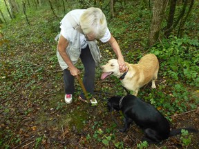 Truffle hunter Anita with two of her truffle hunting dogs.