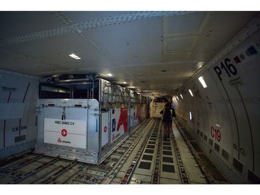 After the last performance in Los Angeles, the four-legged stars flew into Vancouver International Airport aboard a charted 747 aircraft equipped with airstalls.  [PNG Merlin Archive]