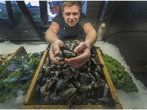 Ryan Johnson shows a handful of East Coast oysters at the Daily Catch on Davie Street in Vancouver. More than 70 people have contracted norovirus after eating oysters in B.C. The Daily Catch on Friday pulled all of its B.C. oysters off the shelves until the issue is resolved.