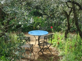 Paris-style bistro table and chairs always look good in a garden setting.