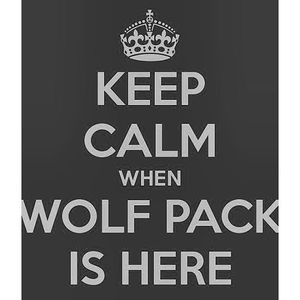 Wolf Pack poster put on Instagram by Hells Angel Damion Ryan