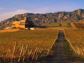 Burrowing Owl Estate Winery in Oliver was one of seven B.C. vineyards to provide soil, grape and wine samples to St. Thomas More Collegiate students.