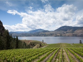 The Okanagan Valley is one of the premier wine growing regions in Canada.