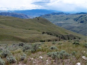 Part of the Sage and Sparrow Conservation Area near Osoyoos is shown in a handout photo from the Nature Conservancy of Canada. In the fall of 2015 the Conservancy announced it had accepted responsibility for 26 other ecological conservation properties from The Land Conservancy of B.C. (TLC).