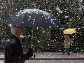 Pedestrians carrying umbrellas walk along Robson Street as snow falls in downtown Vancouver on Dec 5. We all need to work together to create safer streets for all its users. — The Canadian Press files