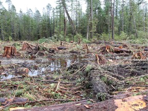 Three companies have been filed a total of up to $2.2 million under the federal Fisheries Act related to logging practices resulting in 'complete devastation' and 'wanton disregard' for fish habitat on Haida Gwaii.