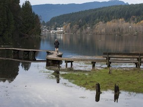 Dry weather allowed for pleasant strolls along the salt marsh boardwalk in Port Moody's Inlet Park Thursday, November 10, 2016.