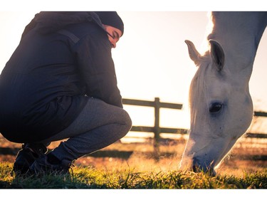 Prior to arriving at Olympic Village, the Odysseo herd, consisting of 11 breeds including Arabian, Lusitano, Paint Horse, Quarter Horse, Thoroughbred and Spanish Purebred (P.R.E.), traveled with a dedicated team of Cavalia's equine specialists to a local farm in Delta for 15 days of leisure.  [PNG Merlin Archive]