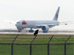 Air Canada says a computer issue is causing problems at airports and resulting in some flight delays.
