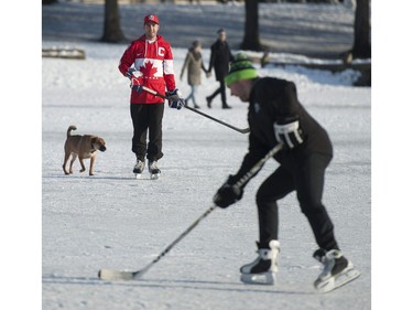 For the first time in 20 years, skating is allowed on Trout Lake in Vancouver, BC Thursday, January 5, 2017.  Prolonged cold temperatures have frozen the lake to a depth of 12 centimetres making it safe to lace up your skates and grab your hockey sticks to take part in a rare outdoor activity in Vancouver.