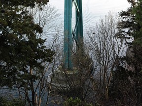 The ability of the piers on the Lions Gate bridge to withstand collisions with large ships is being tested by the province's chief engineer. The south pier, shown here, was upgraded about 20 years ago with tonnes of reinforced concrete and collision buffers.