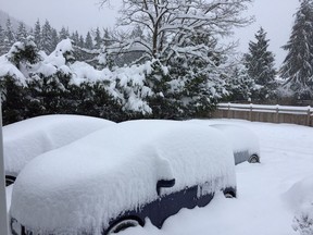 Around 30 cm of snow fell in Garibaldi Highlands in Squamish Saturday.