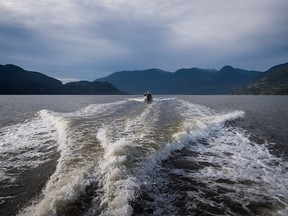 Howe Sound ecology improving but remains under threat from development, says aquarium report. A small passenger boat travels on the waters of Howe Sound near Squamish,  on Friday November 4, 2016.