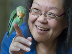 Stephanie Yan, 47, with Toby, her lovebird, in her condo in Surrey, February 17, 2017.