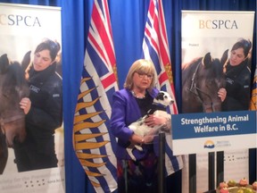 Liberal MLA Jane Thornthwaite, holding Burger, a Jack Russell terrier puppy, speaks at the announcement of B.C.'s plans to strengthen its animal welfare law, at the provincial legislature in Victoria on Monday, February 27, 2017.