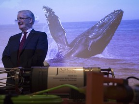 Federal Transport Minister Marc Garneau at last month’s presentation launching a program for marine vessels operating in the Port of Vancouver. The program is raising awareness about underwater vessel noise and how it affects marine life.