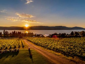 Summerhill Pyramid Winery has been an environmental leader in the Okanagan.