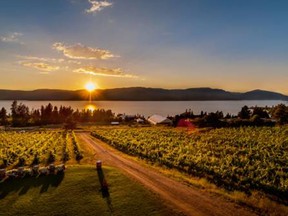 summerhill-pyramid-winery-sunset0_46e0e4bb-5056-a36a-0b07fde3241000ce-jpg