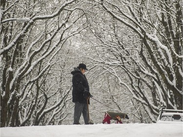 On Fraser Street, pedestrians - both human and canine - brave Vancouver's latest snowstorm.