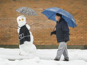 A snowman protects itself from the rain in Vancouver, B.C., February 9, 2017.