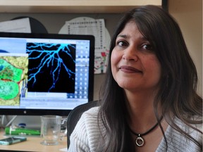 UBC professor Shernaz Bamji, leader of the research team that found genetically engineered mice didn‘t become addicted to cocaine.