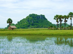 A scene along the Mekong Delta.