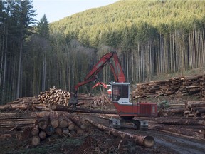 A section of forest is harvested by loggers near Youbou in January 2015.