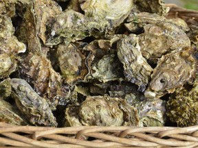 Researchers with the B.C. Centre for Disease Control may have pinpointed how a mysterious norovirus outbreak spread, forcing the closure of 13 West Coast oyster farms and curtailing operations at others as hundreds of Canadians fell ill.