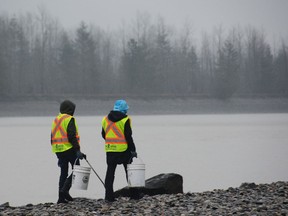 Volunteers clean up garbage on the banks of the Fraser River in Chilliwack as part of the 10th annual Fraser River Clean Up.