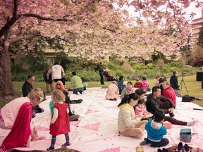 Hanami (flower viewing) is a Japanese custom of picnicking under cherry blossoms.
