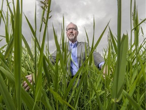 FILE PHOTO Kent Mullinix in Richmond's Garden City Lands.