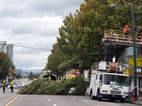 Damage was extensive from a storm that hit the Lower Mainland on Aug. 29, 2015.