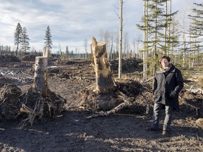 Rita Giesbrecht, Green party candidate for the Cariboo-Chilcotin, says locals have had enough of massive and continuing clearcuts in the region.