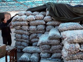 In this photo taken Monday Jan. 18, 2016, a vendor arranges his bags of garlic in a vegetable wholesale market in Binzhou in east China&#039;s Shandong province. THE CANADIAN PRESS/AP-Chinatopix, CHINA OUT