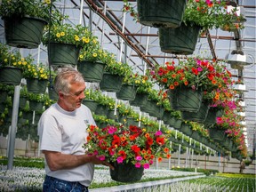 May is a great time to make a hanging basket or put up a ready-made one.