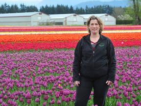 Kate Onos-Gilbert organizes the Tulips of the Valley festival near Chilliwack each year. This year's festival runs until May 7.