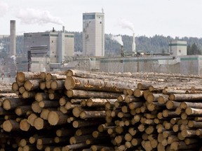 Raw Logs are piled up at West Fraser Timber in Quesnel B.C. in 2009. There is a constant debate over how many of these logs should be exported whole, and how many should be processed in B.C.