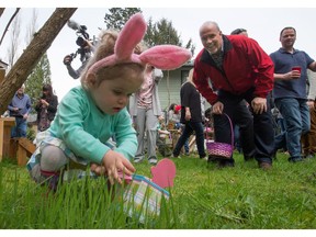 NDP Leader John Horgan watches as a young girl collects chocolate eggs during an Easter egg hunt at a supporter's home in Maple Ridge on Sunday.
